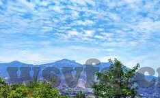大象传媒2022秘密-2022年大象传媒的秘密，创新与融合的背后