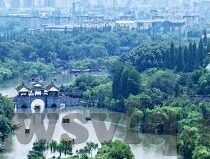 国产剧情麻豆剧果冻传媒-打造视听盛宴，国产剧情片在麻豆剧与果冻传媒的探索与创新