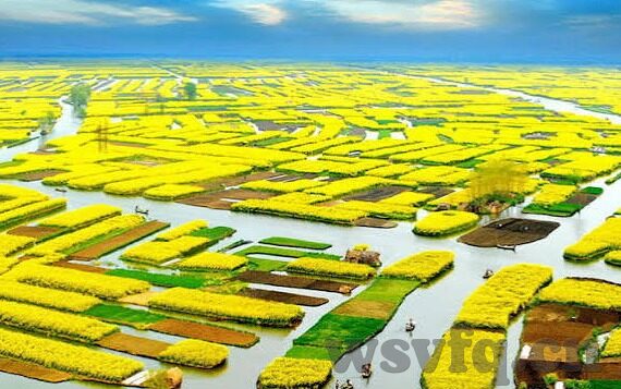 久久国产精品一区二区-探索国产影视的多元魅力，久久国产精品一区二区的独特视角