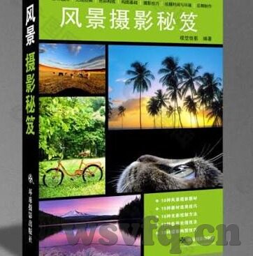 麻豆app免费下载-麻豆APP的简单实用性与免费下载指南