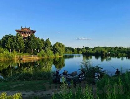 麻豆福利在线视频-探索多元化娱乐新视野，互联网内容多样性下的文化交流与欣赏