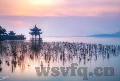 麻豆视传媒免费官网视频在线观看-麻豆视传媒——不可错过的娱乐盛宴