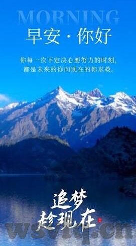 麻豆视频是什么-麻豆视频的真相与考量