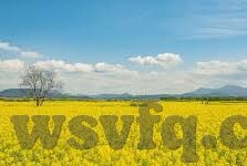 糖心app平台-话题聚焦，糖心——别具风味的创新应用平台
