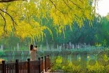 糖心app直播ios-探索未来娱乐新境界，糖心APP直播在iOS平台上的精彩呈现
