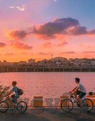 糖心vlog麻豆-糖心Vlog，麻豆世界的真实面纱